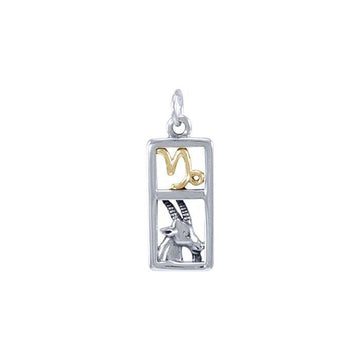 Capricorn Silver and 14k Gold accent Charm MCM292 - Jewelry